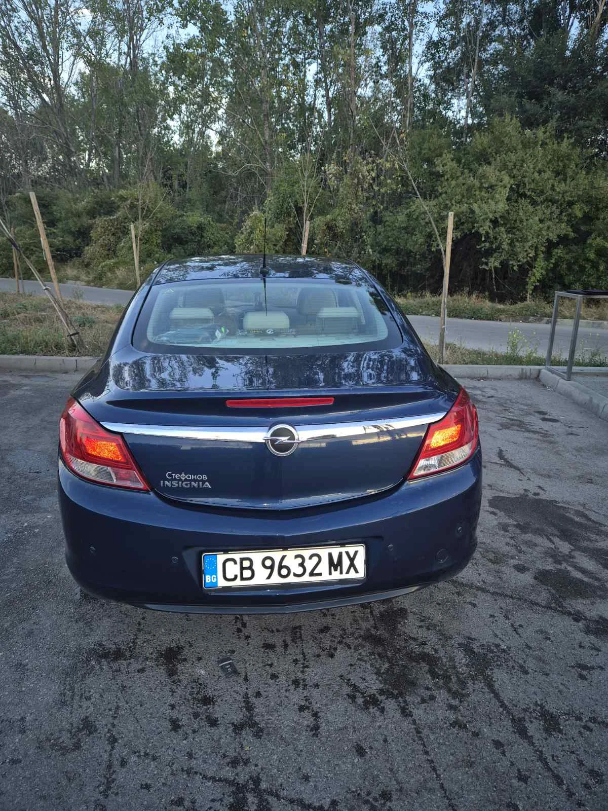 Opel Insignia, снимка 7 - Автомобили и джипове - 56267637