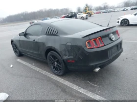 Ford Mustang V6 - 8000 € / 15646.64 лв. - 60769600 3