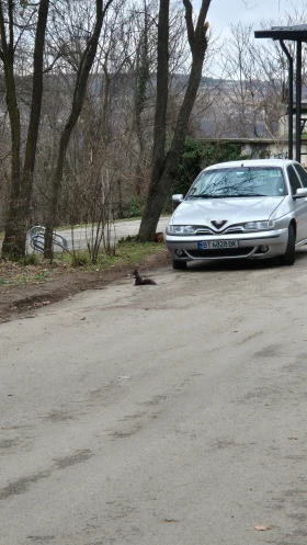 Alfa Romeo 146 1.9 JTD - 1700 € / 3324.91 лв. - 80644741 5