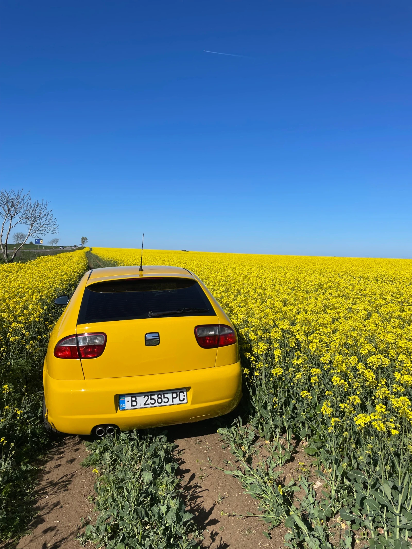 Seat Leon  - изображение 10