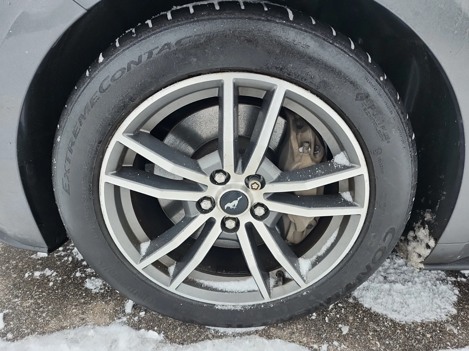 Ford Mustang GT PREMIUM* * CARFAX * * ���� ������ * *  | Mobile.bg � ����������� 7