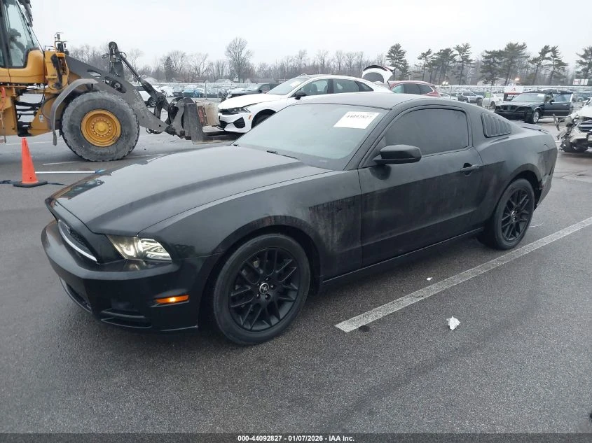 Ford Mustang V6 - изображение 2