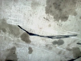 ����� �� �������� �� ���� �������� ���� �� ������� �����