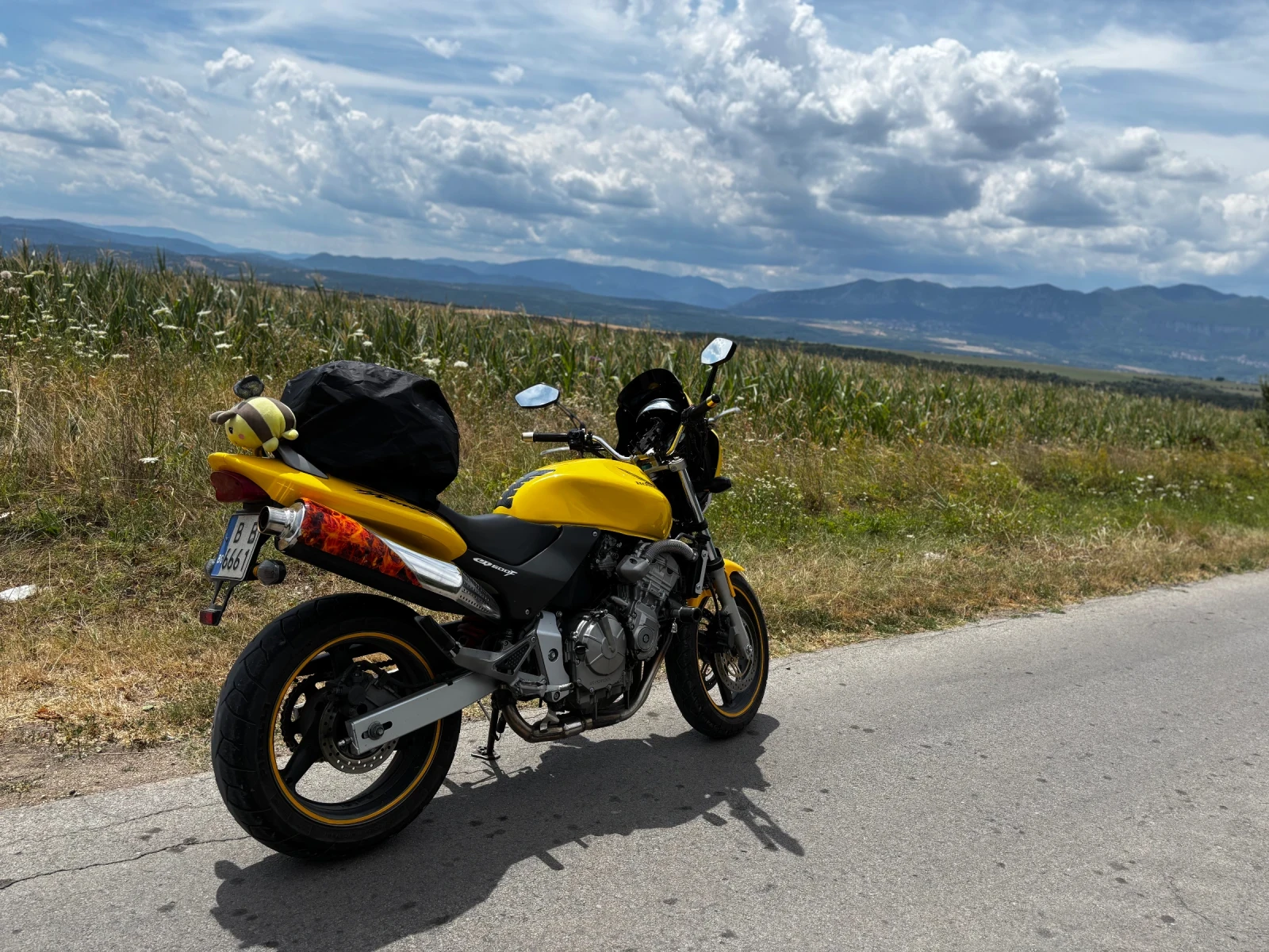 Honda Hornet CB600F | Auto.bg — изображение 1