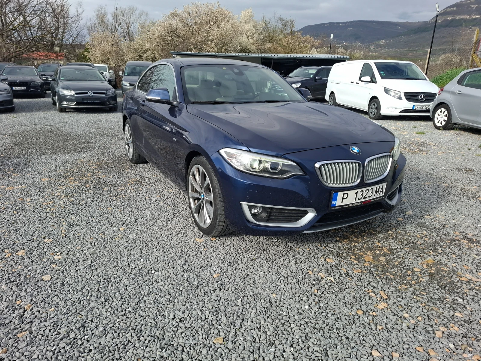 BMW 220, снимка 3 - Автомобили и джипове - 54078882