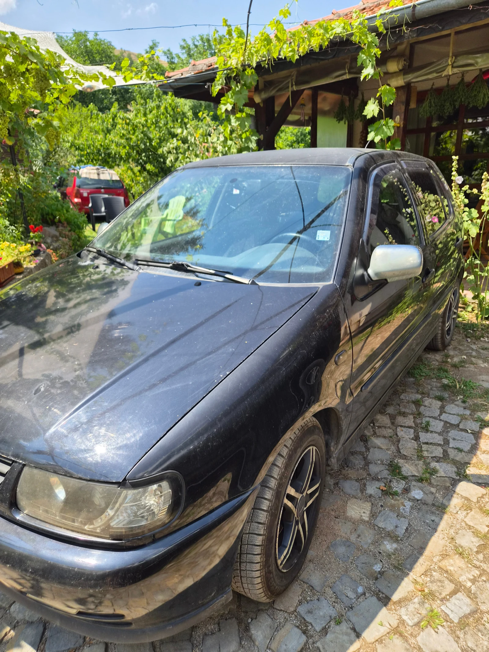 VW Polo