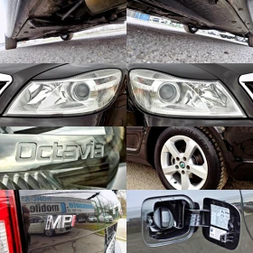 Skoda Octavia 1.6MPi/102 к.с./СТАРИЯ ДВИГАТЕЛ/РЕАЛНИ КМ - 4990 € / 9759.59 лв. - 76144134 16