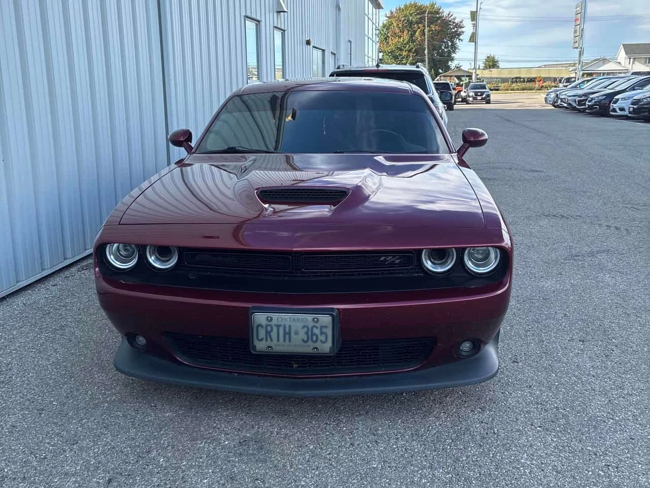 Dodge Challenger * R/T RWD * CARFAX * ����������� *  | Mobile.bg � ����������� 4