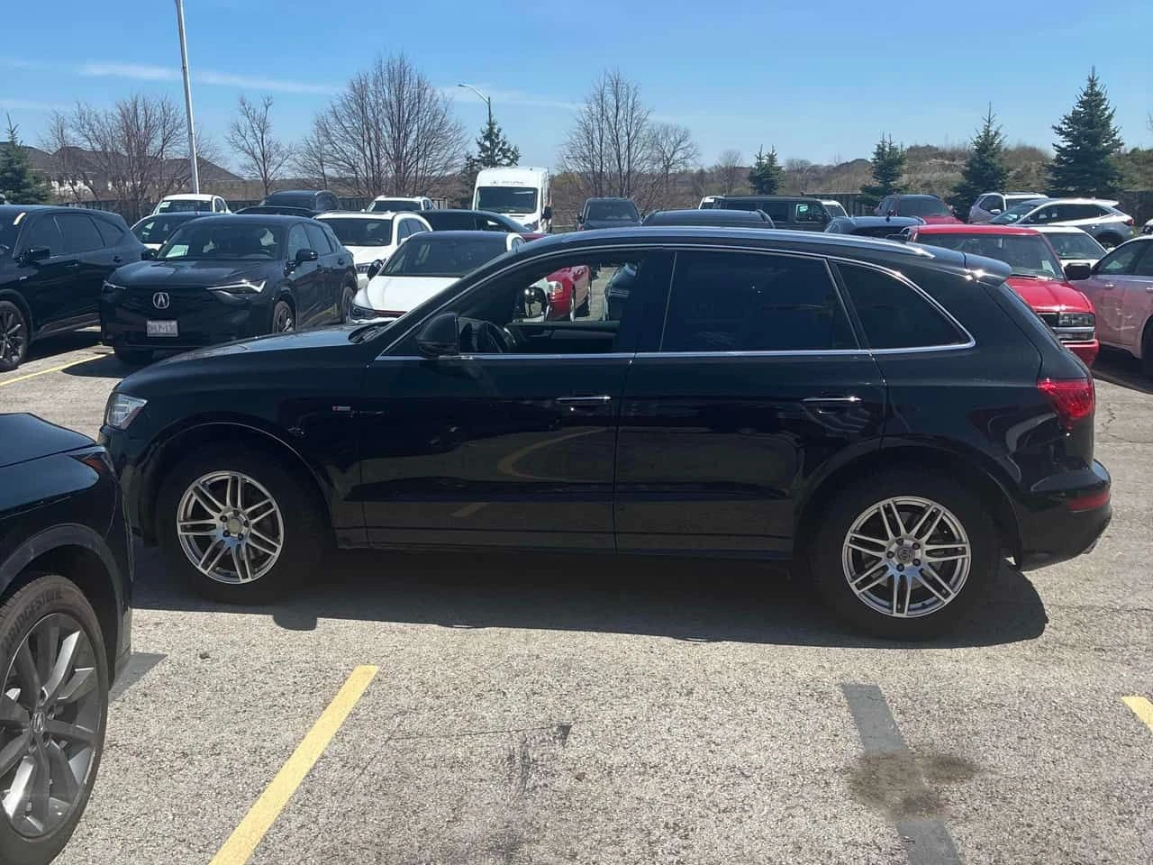 Audi Q5 | 3.0L TDI Technik | CARFAX | + ГУМИ MICHELIN , снимка 3 - Автомобили и джипове - 54343373