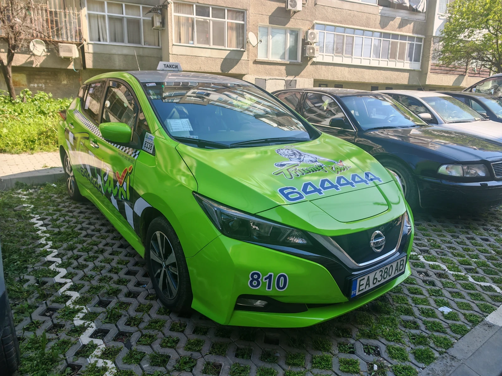 Nissan Leaf   - изображение 4