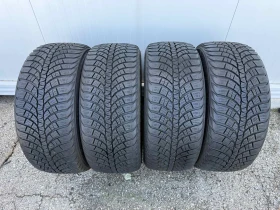 ������ ����