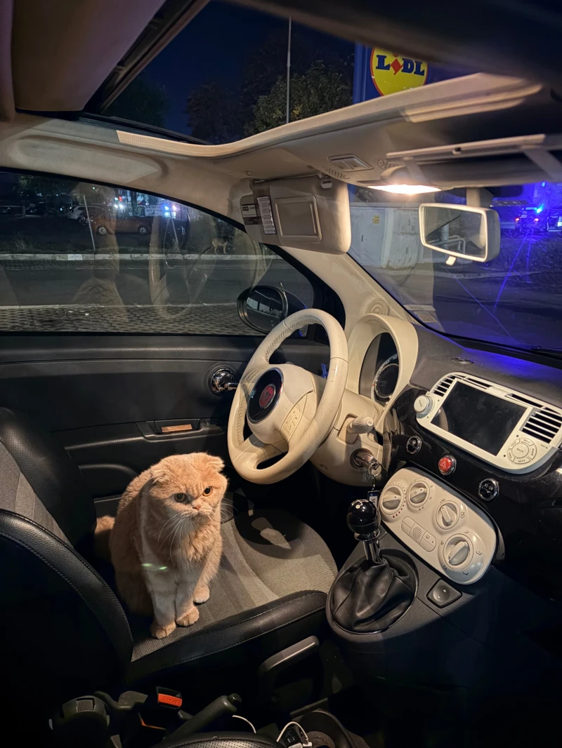 Fiat 500 C 1.2 Cabrio, снимка 7 - Автомобили и джипове - 52395161