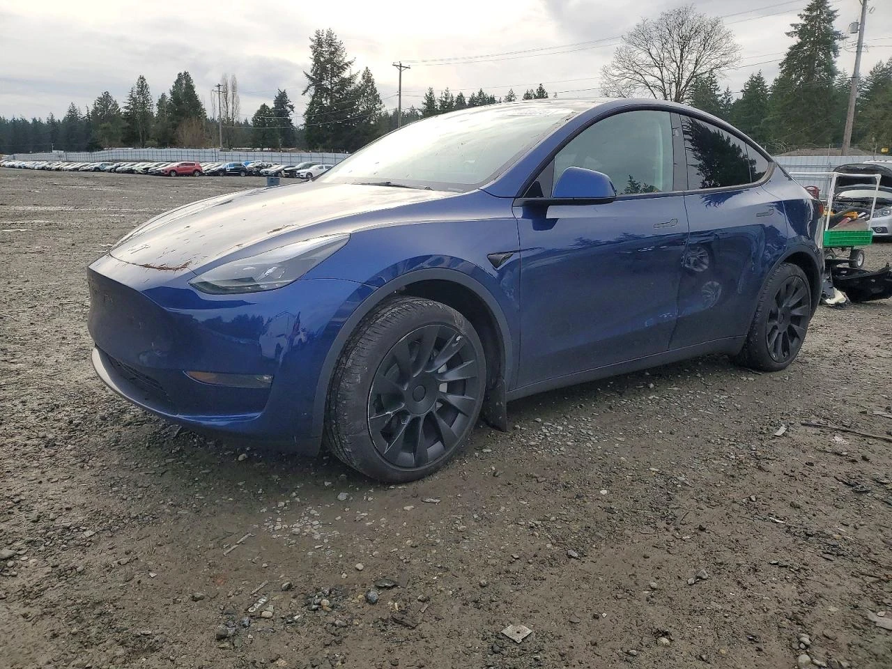 Tesla Model Y AWD* LONG RANGE* ����* ��������* ��������*  | Mobile.bg � ����������� 1