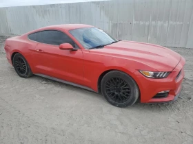 Ford Mustang undefined | Auto.bg — изображение 4