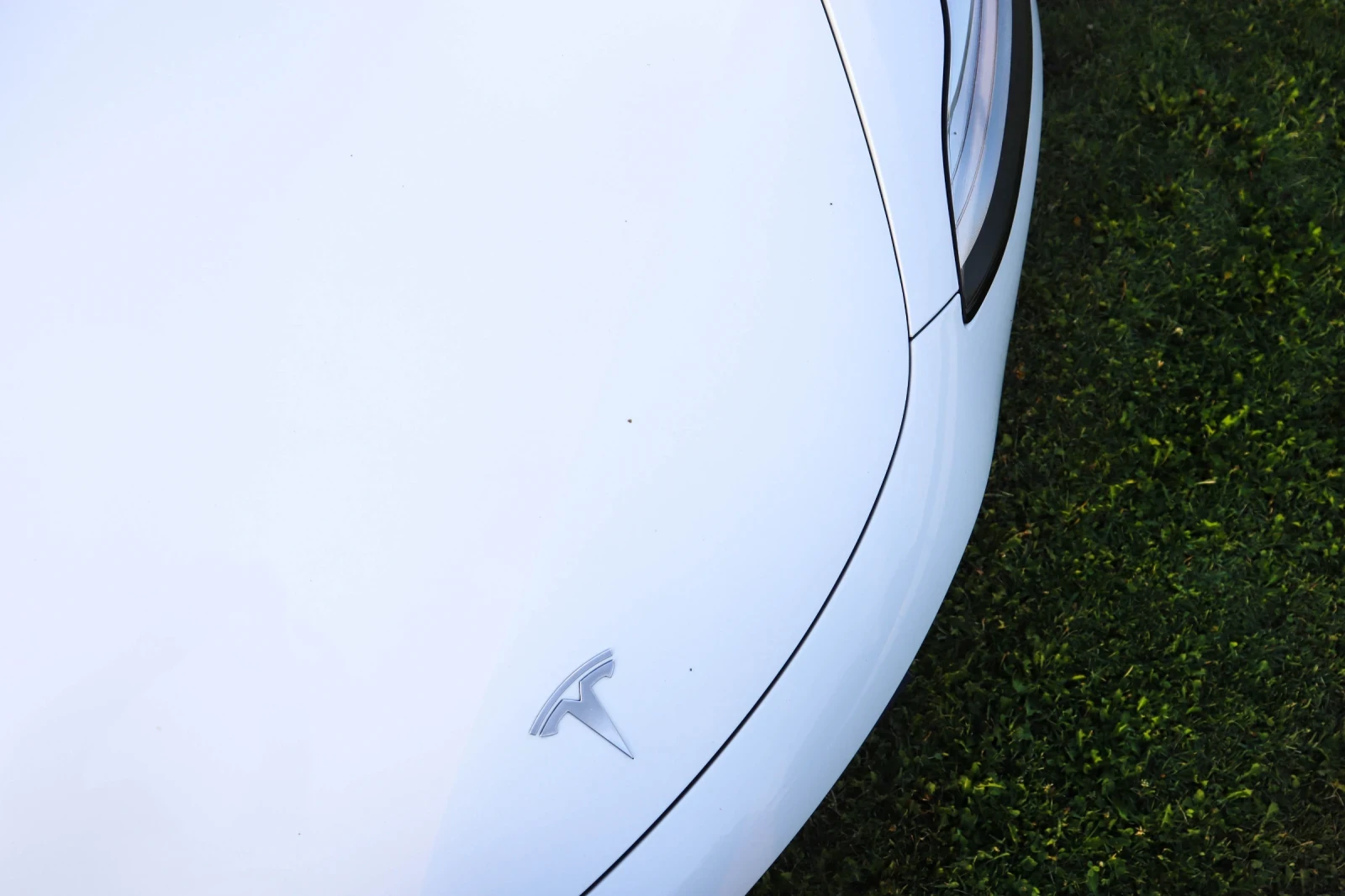 Tesla Model 3 Dual Motor - изображение 5