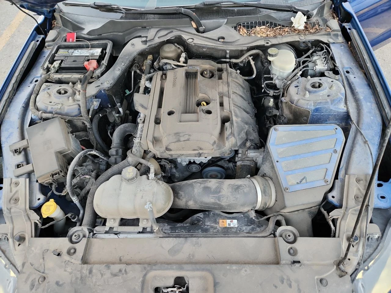 Ford Mustang 2.3i, снимка 11 - Автомобили и джипове - 55390477