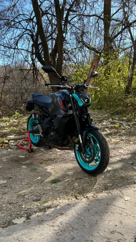 Yamaha Mt-09, снимка 11