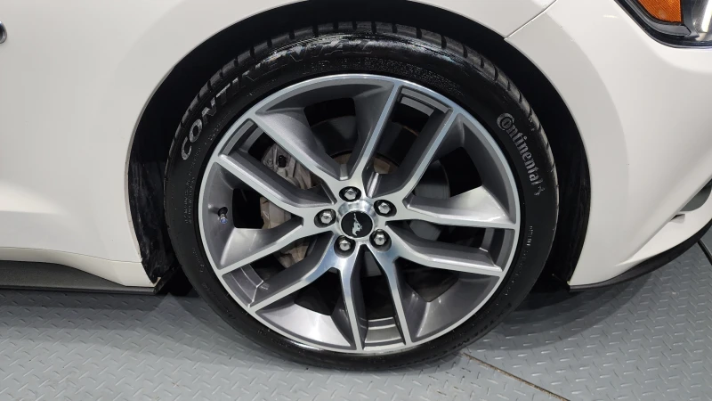 Ford Mustang GT 5.0 autogeorge.com, снимка 5 - Автомобили и джипове - 52399988