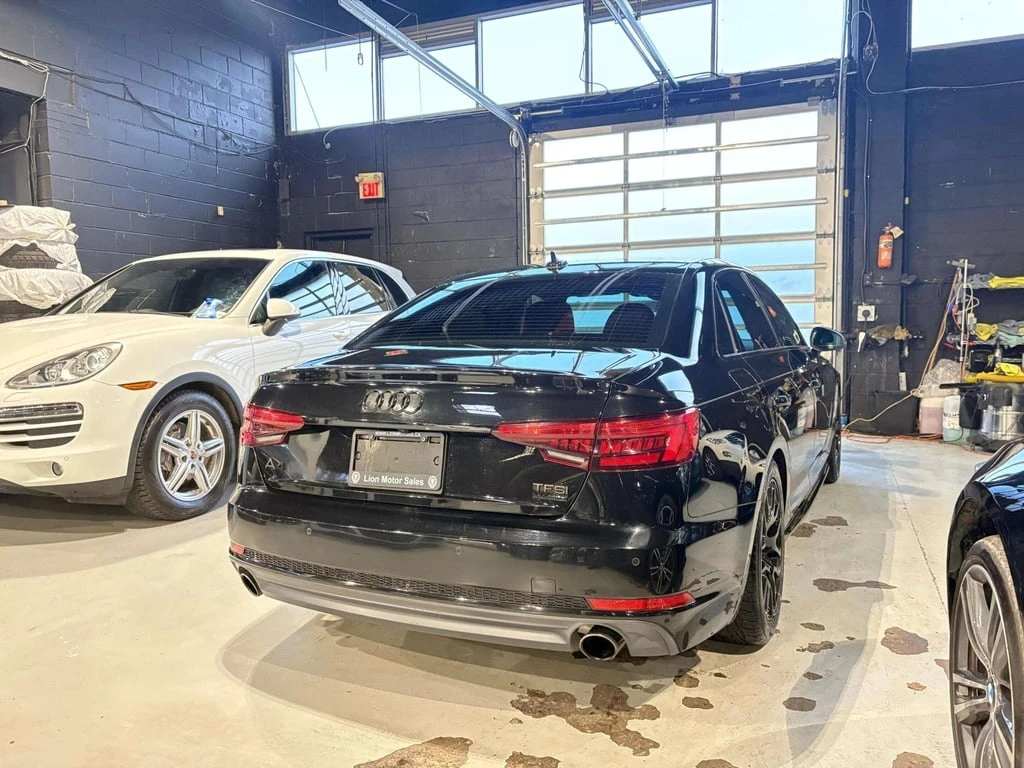 Audi A4 quattro Теchnik CARFAX - изображение 5