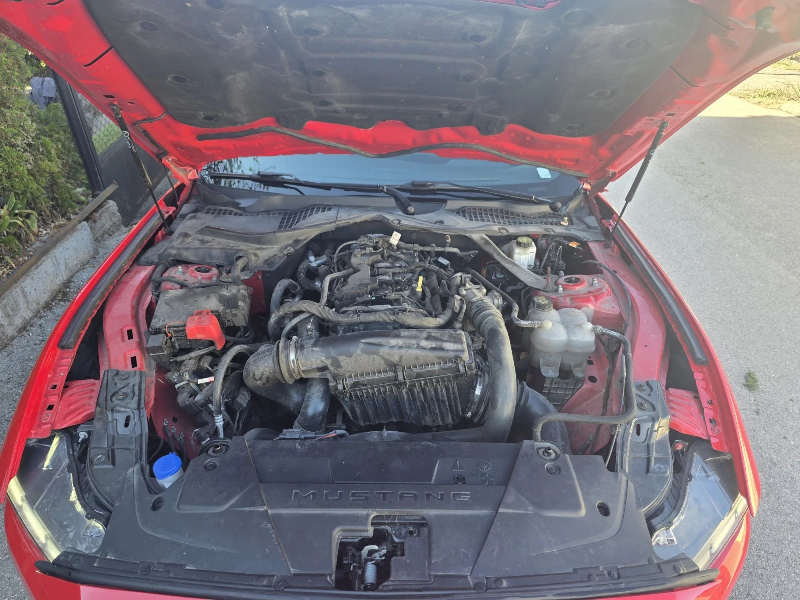 Ford Mustang Premium Convertible 2.3 EcoBoost , снимка 10 - Автомобили и джипове - 56352002