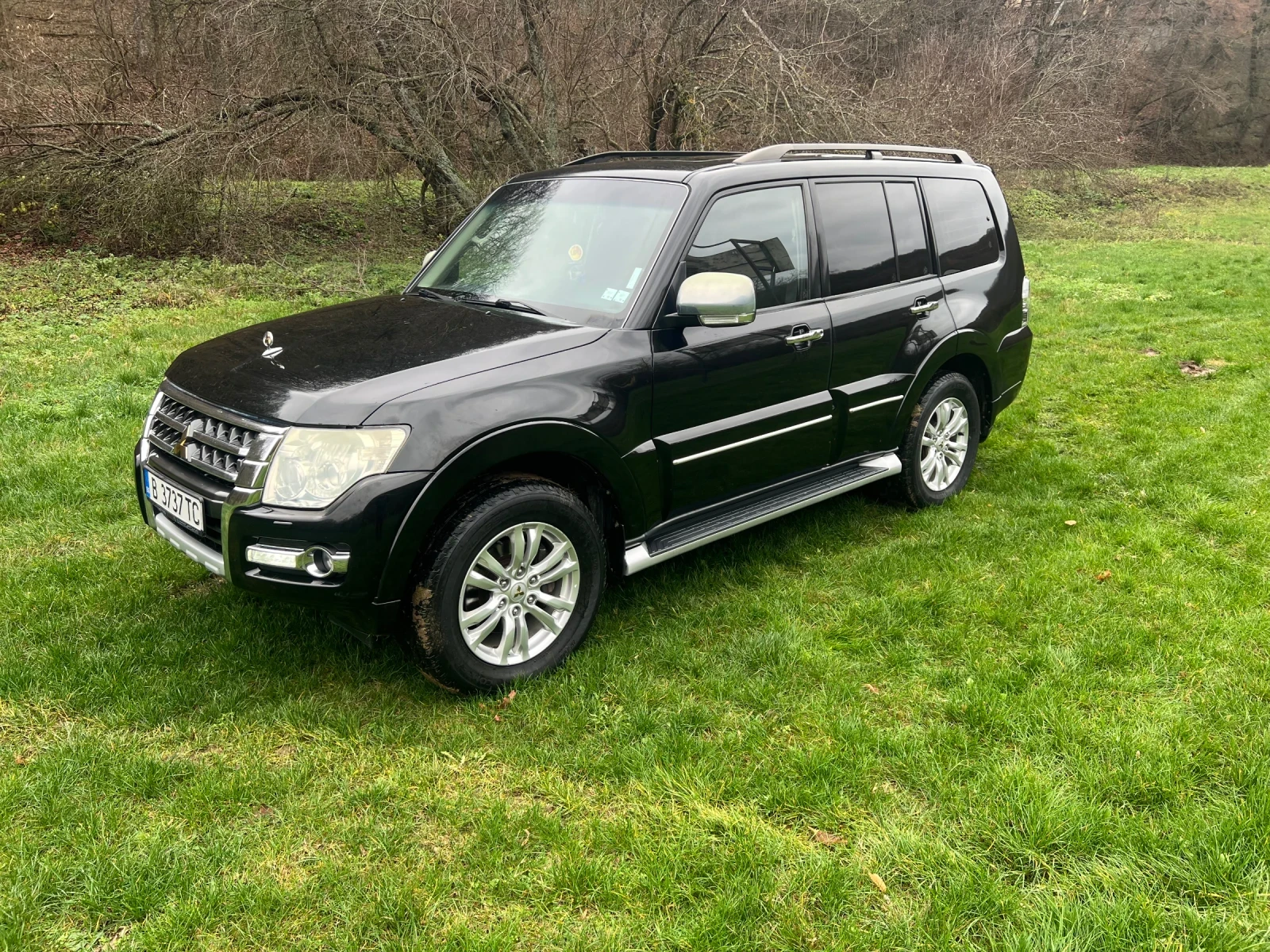 Mitsubishi Pajero Golden Laine, снимка 1