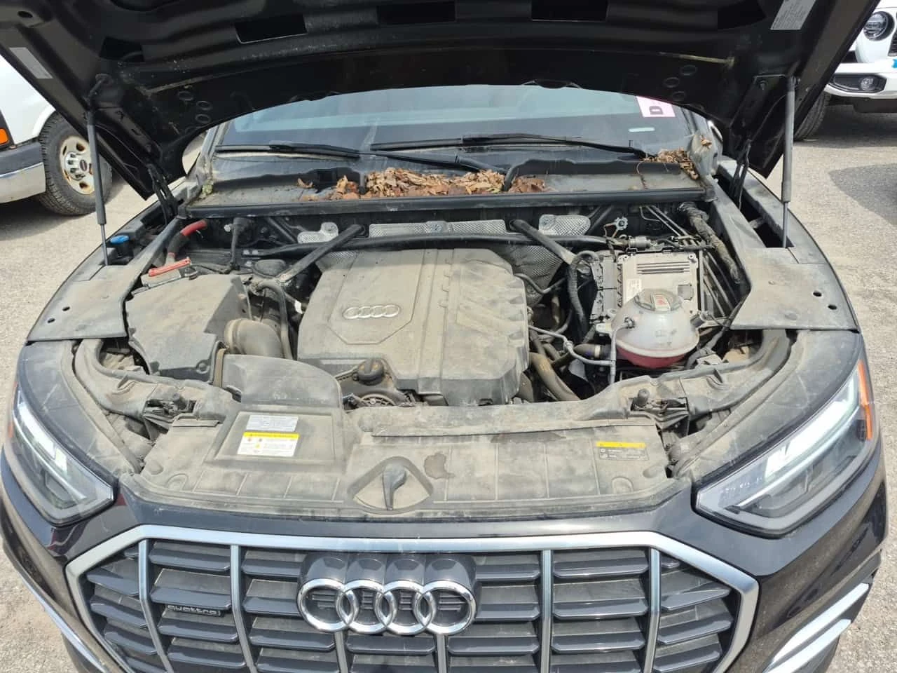 Audi Q5 KOMFORT/КОЖА/ПОДГРЕВ/CARFAX/ФИНАНСИРАНЕ, снимка 16 - Автомобили и джипове - 54904671
