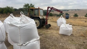 Друг вид Български 4м, снимка 5