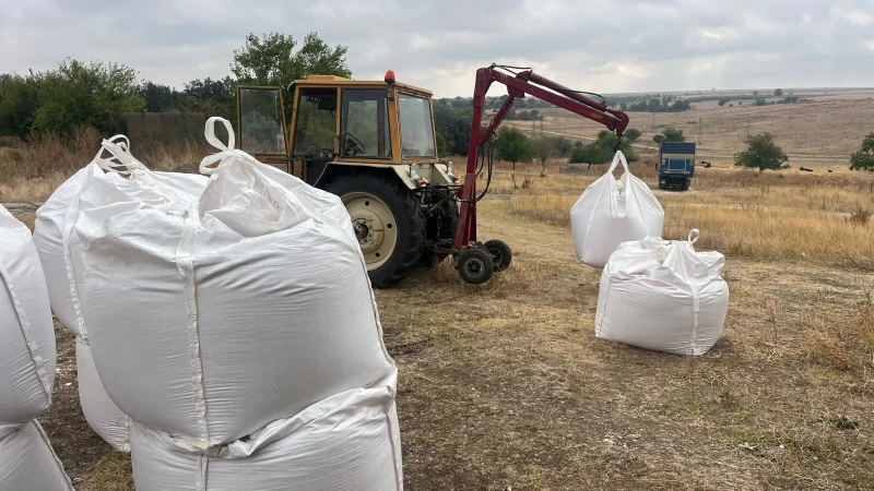 Друг вид Български 4м, снимка 5 - Селскостопанска техника - 52476069