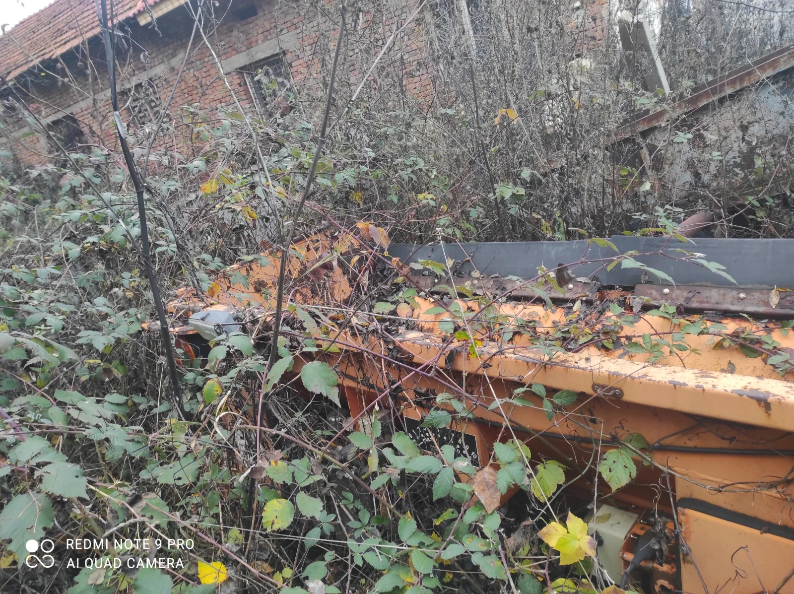 Iveco Magerus  | Mobile.bg   11