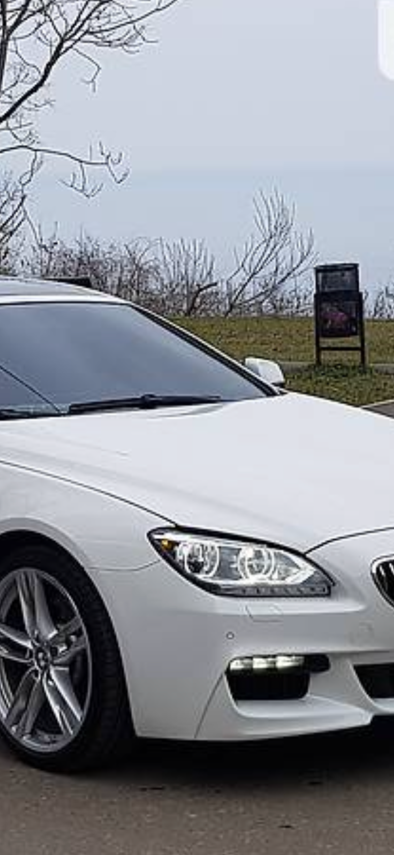 BMW 650 ix - изображение 1