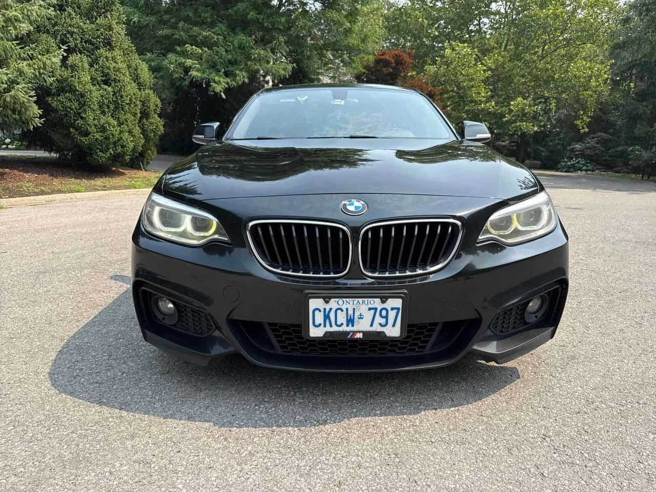 BMW 230 М ПАКЕТ/xDrive/CARFAX/ПОДГРЕВ/КЛИП, снимка 2 - Автомобили и джипове - 55318015