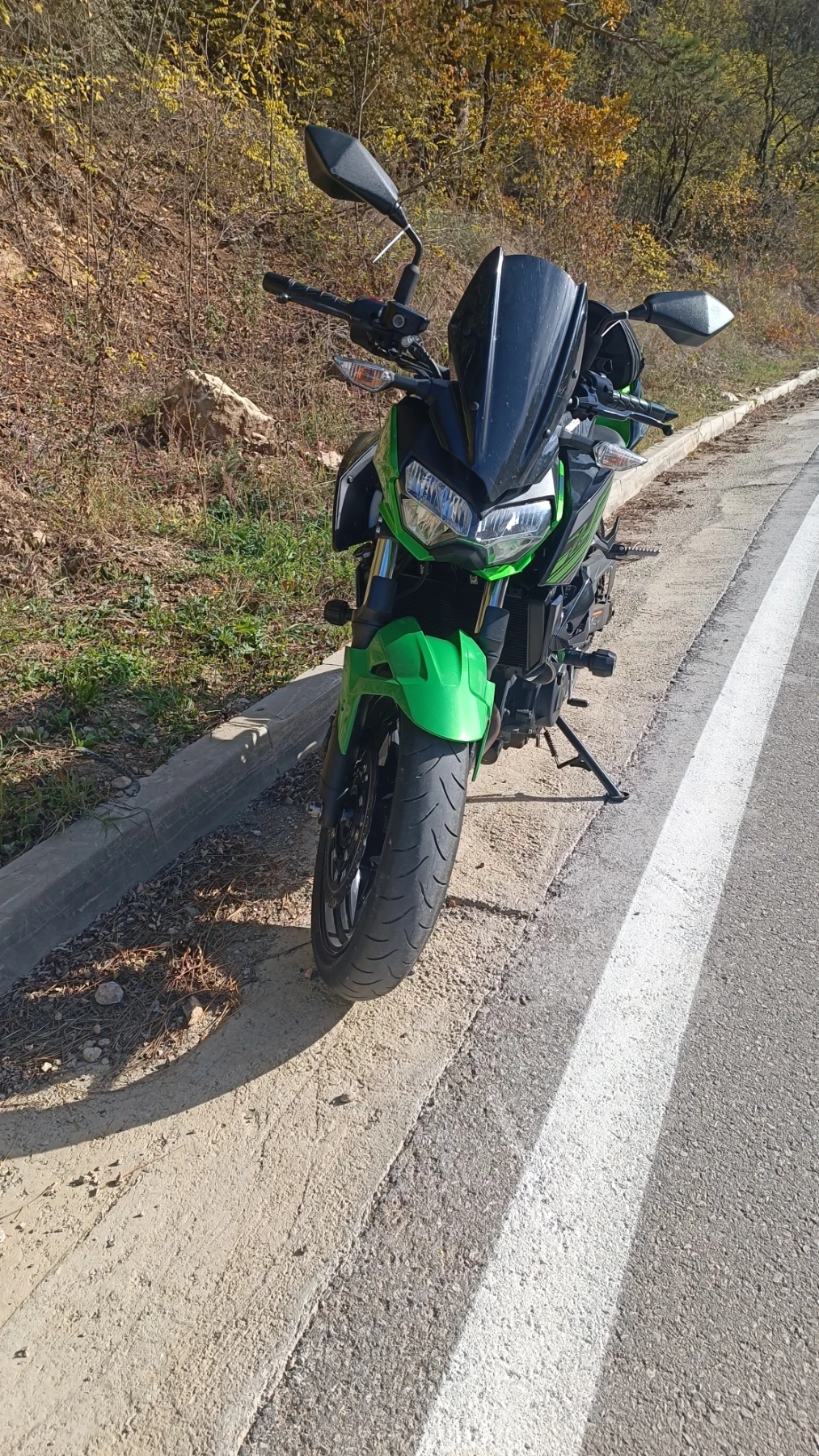 Kawasaki Z Z 400 - изображение 6