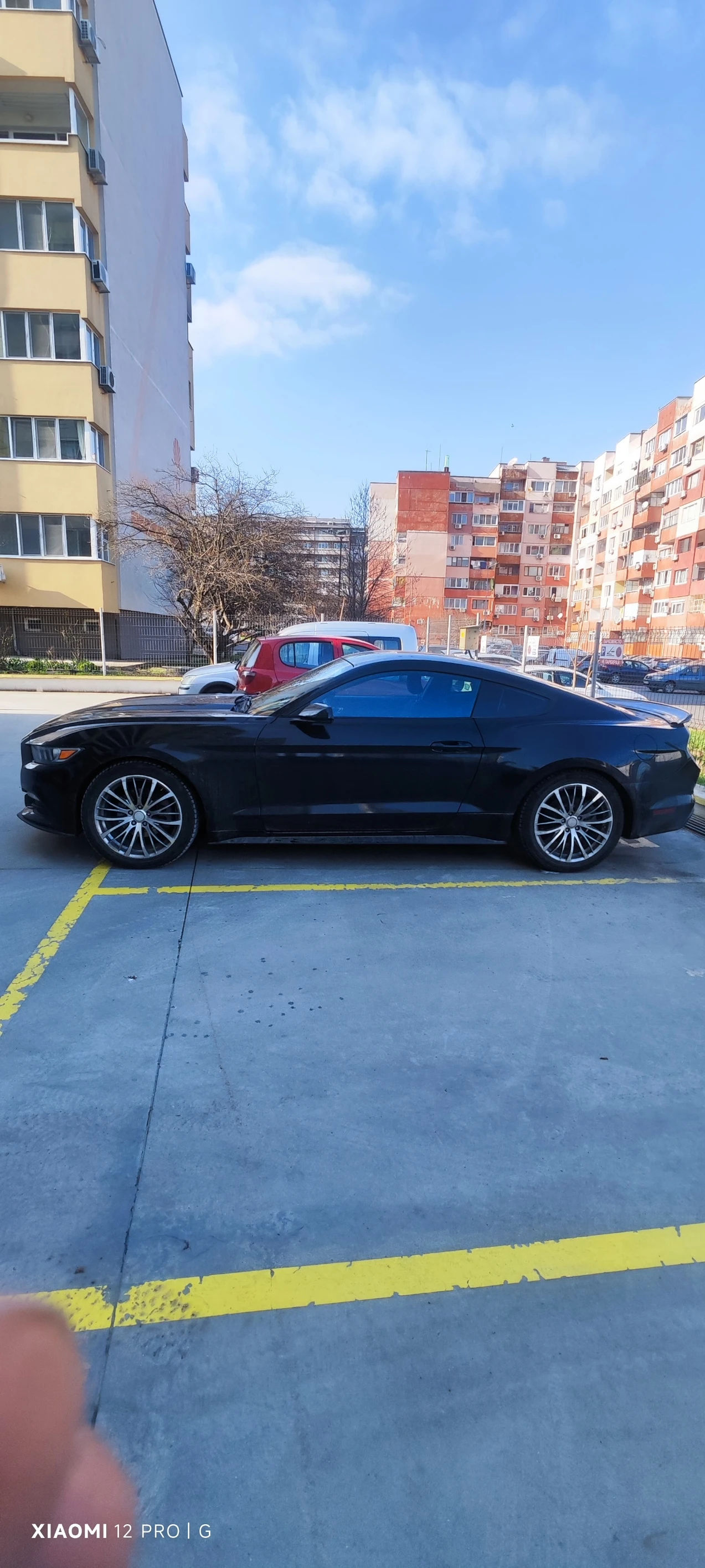 Ford Mustang  - изображение 3