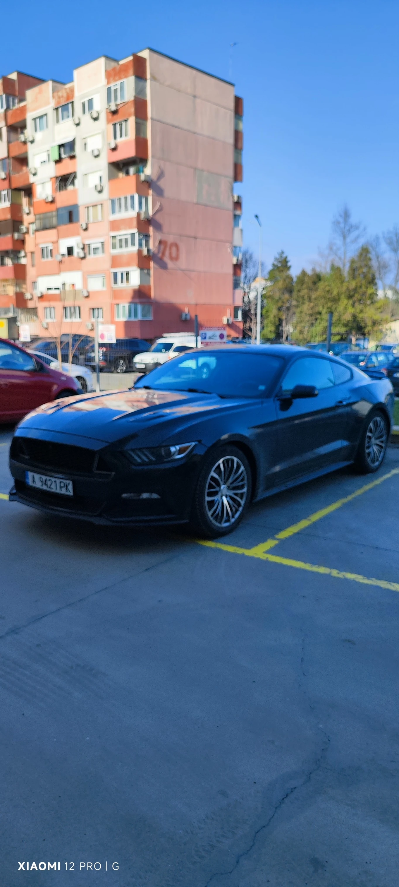 Ford Mustang  - изображение 2