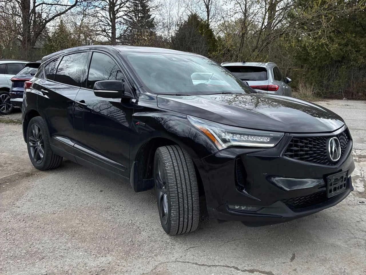 Acura Rdx * A Spec * ОБДУХВАНЕ * NAVI * PANO * ПАМЕТ, снимка 3 - Автомобили и джипове - 54486125