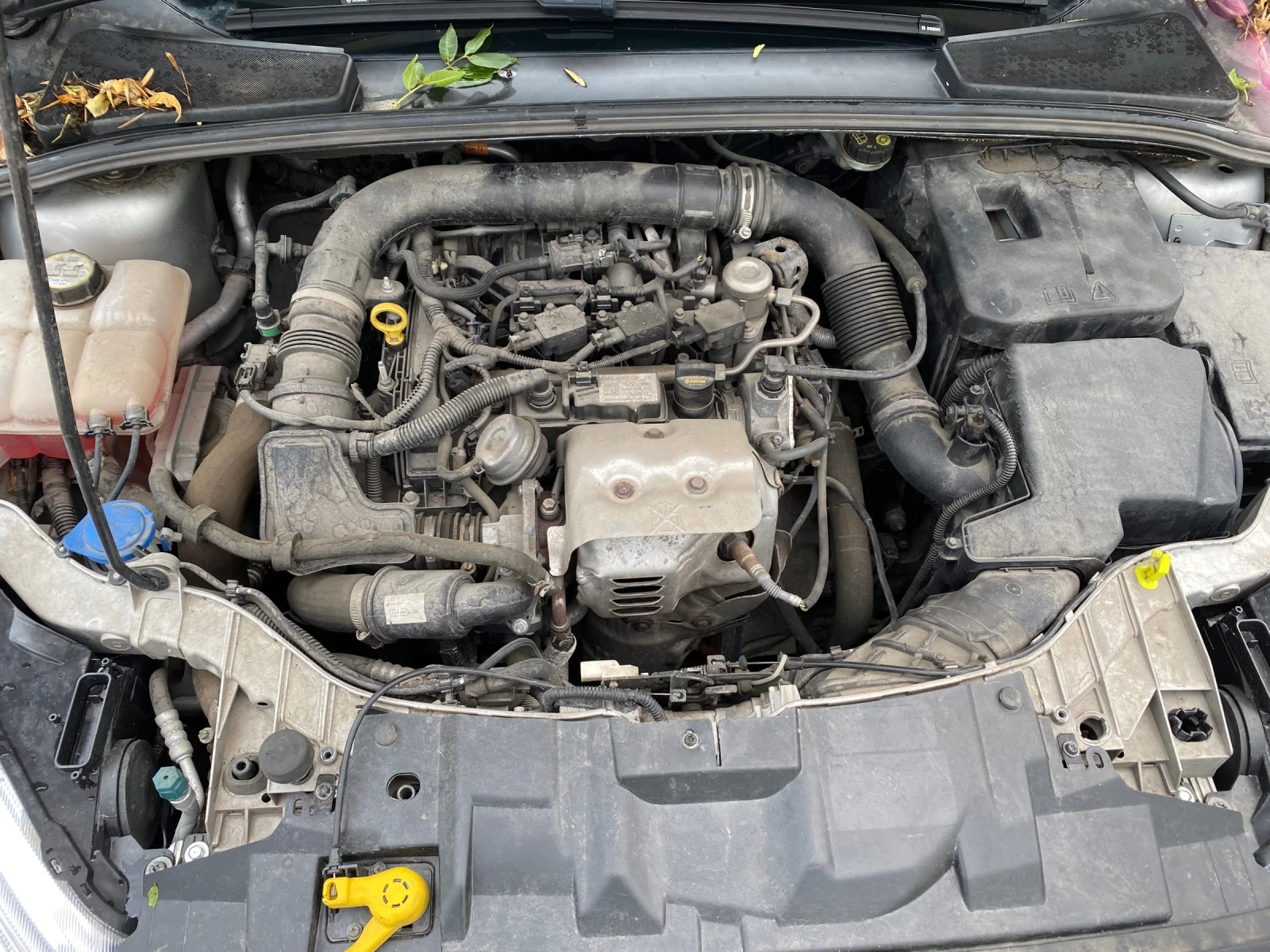 Ford Focus 1.0 EcoBoost 125Hp, снимка 11 - Автомобили и джипове - 55790999