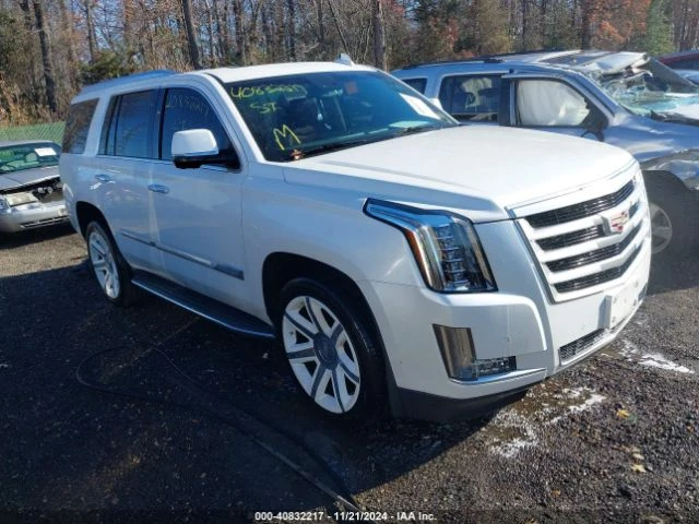 Cadillac Escalade LUXURY COLLECTION, снимка 1 - Автомобили и джипове - 49079086