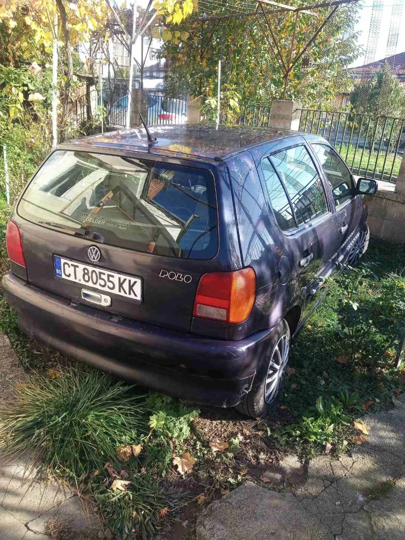 VW Polo