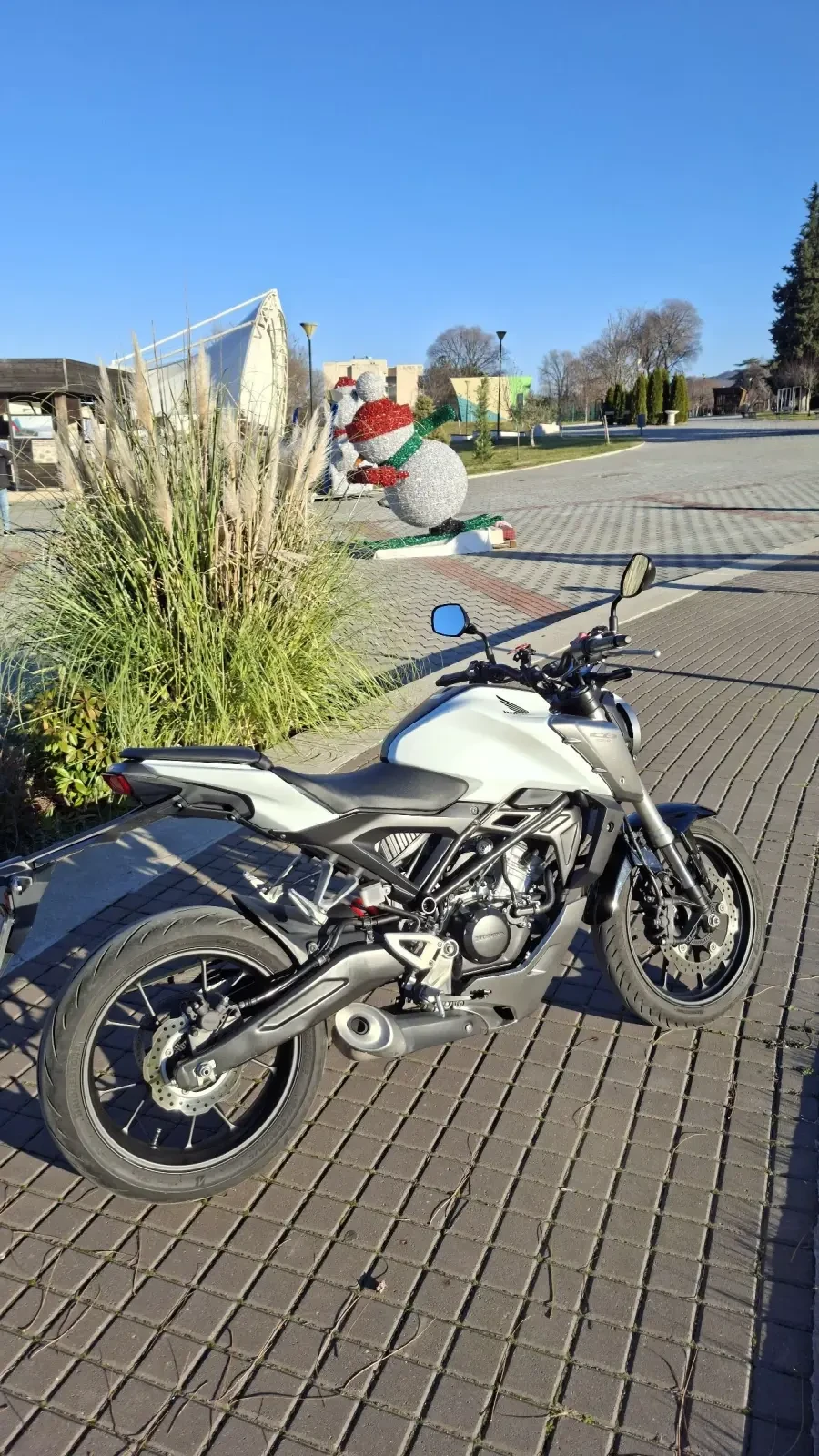 Honda Cb CB125R - изображение 5