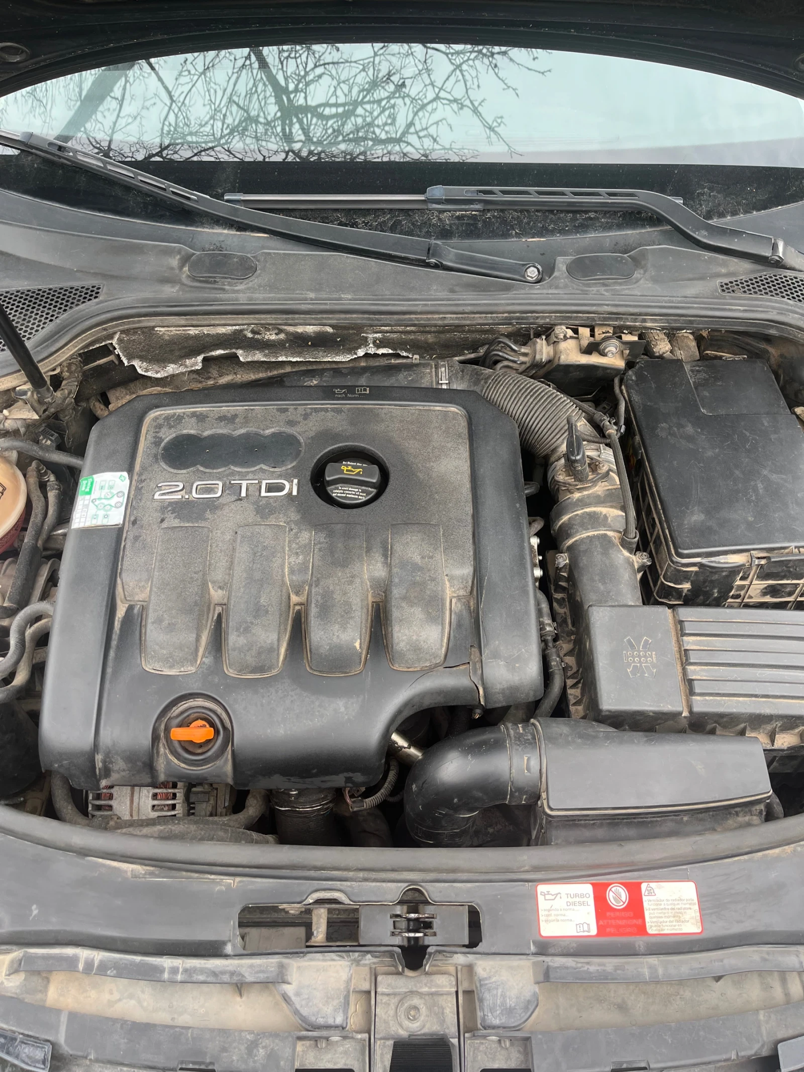 Audi A3  - изображение 7