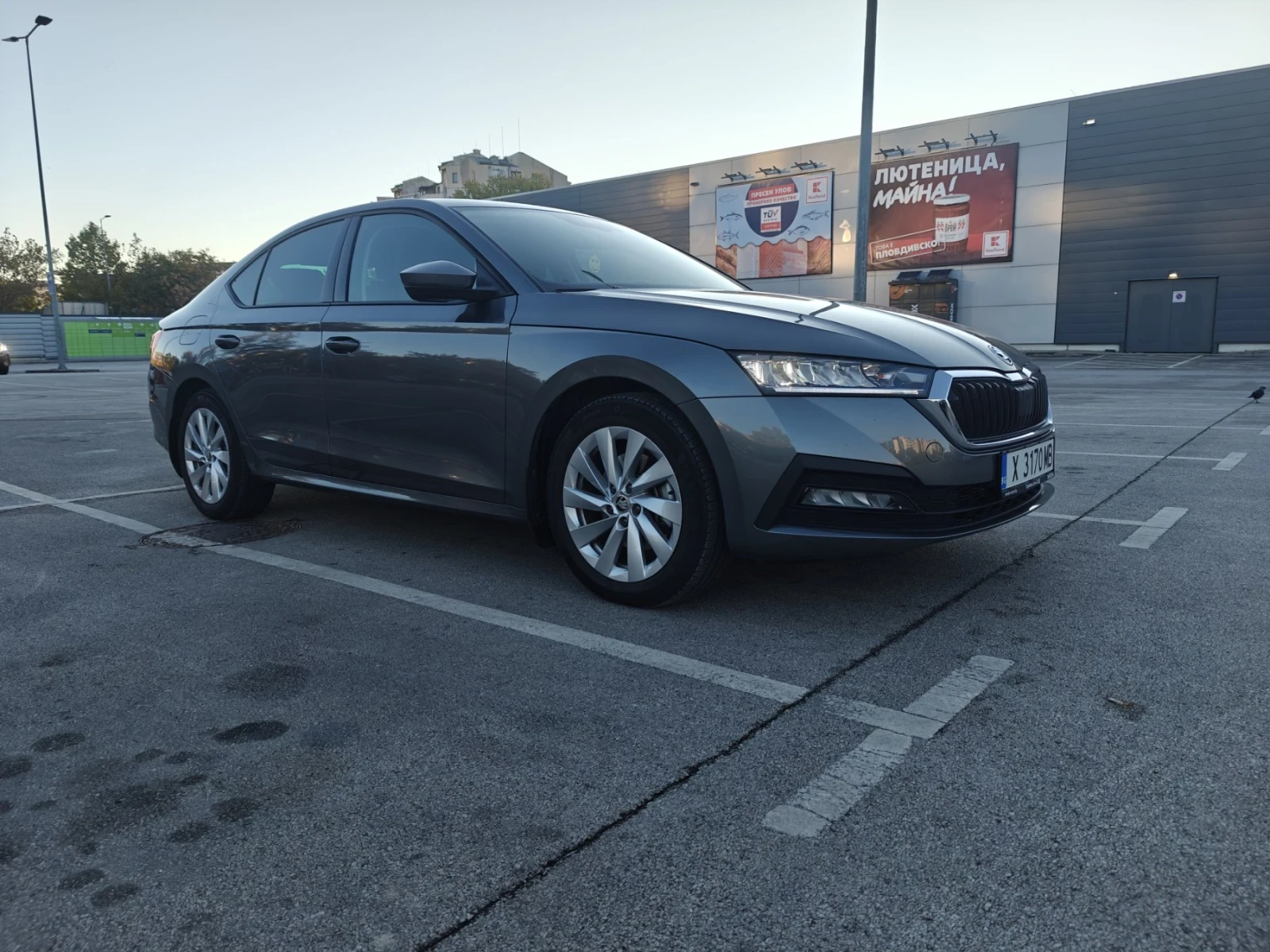 Skoda Octavia 2.0 TDI 4x4  | Mobile.bg � ����������� 5