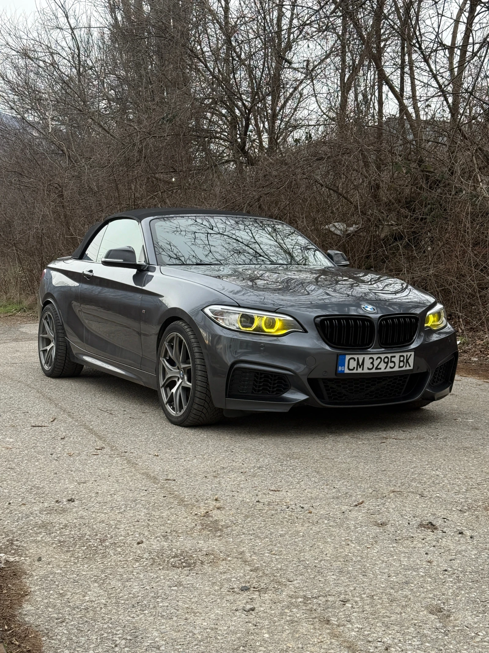 BMW 240 xDrive 2017 Cabrio - изображение 2