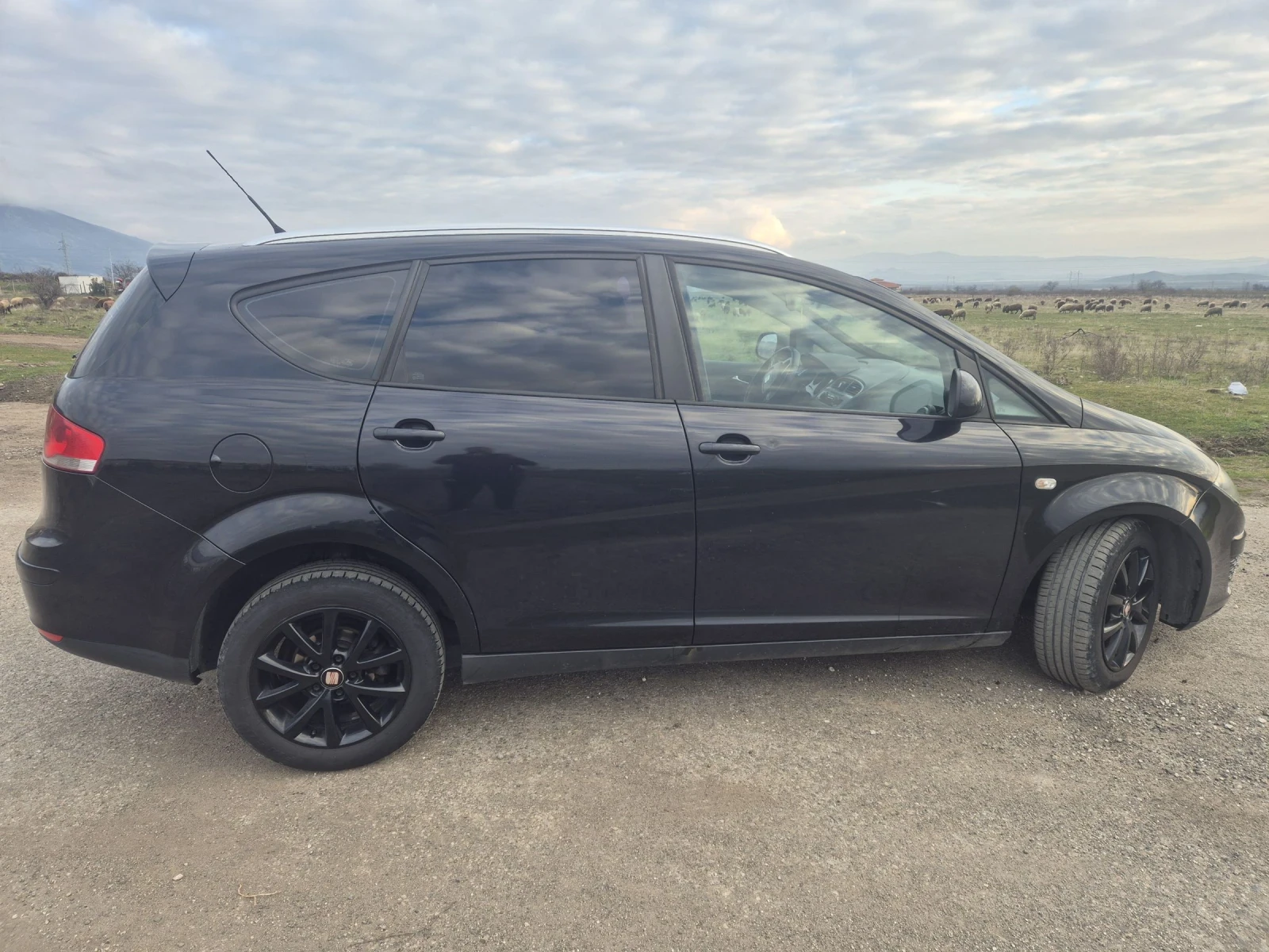 Seat Altea 1, 9 DSG, снимка 8 - Автомобили и джипове - 54328197