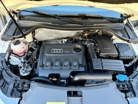 Audi Q3 2.0TDI Full Led/Navi/Bi-xenon/ /Top | Mobile.bg    17