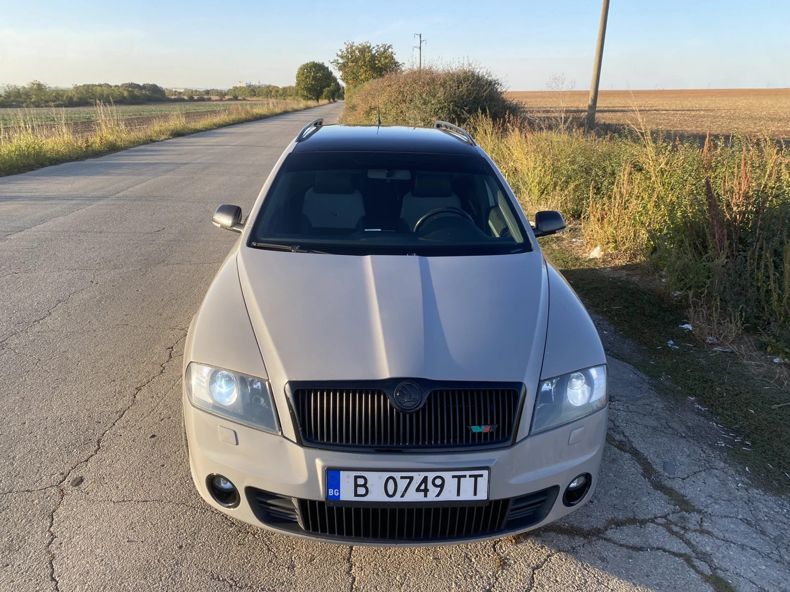 Skoda Octavia VRS, снимка 3 - Автомобили и джипове - 56363050