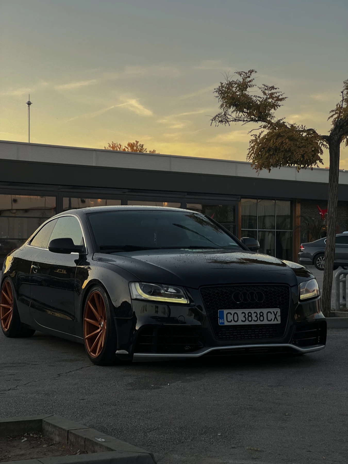 Audi A5 3.0TDI | Mobile.bg � ����������� 1