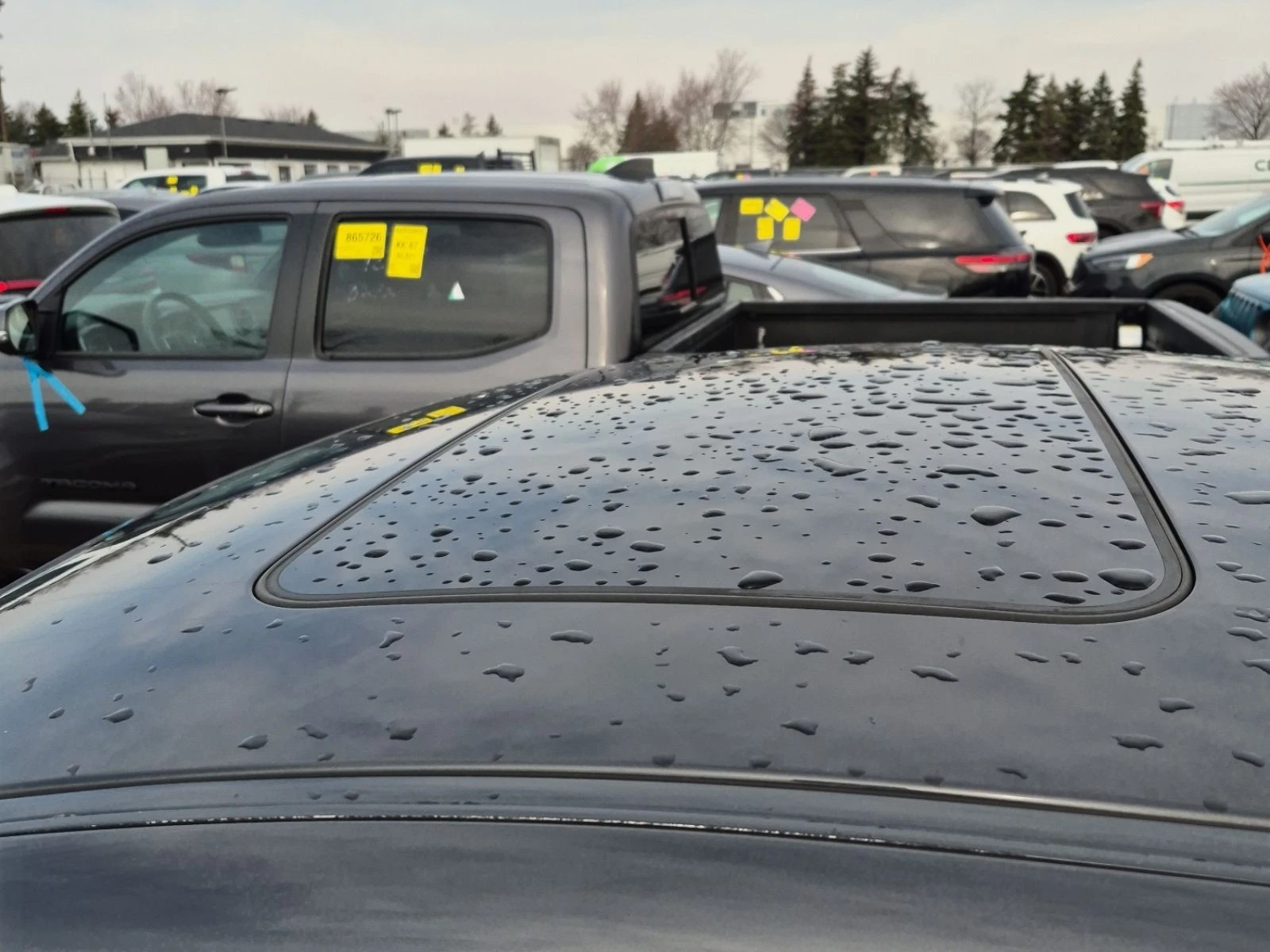 BMW X4 M40I � ����������� & ���� ������  | Mobile.bg � ����������� 6