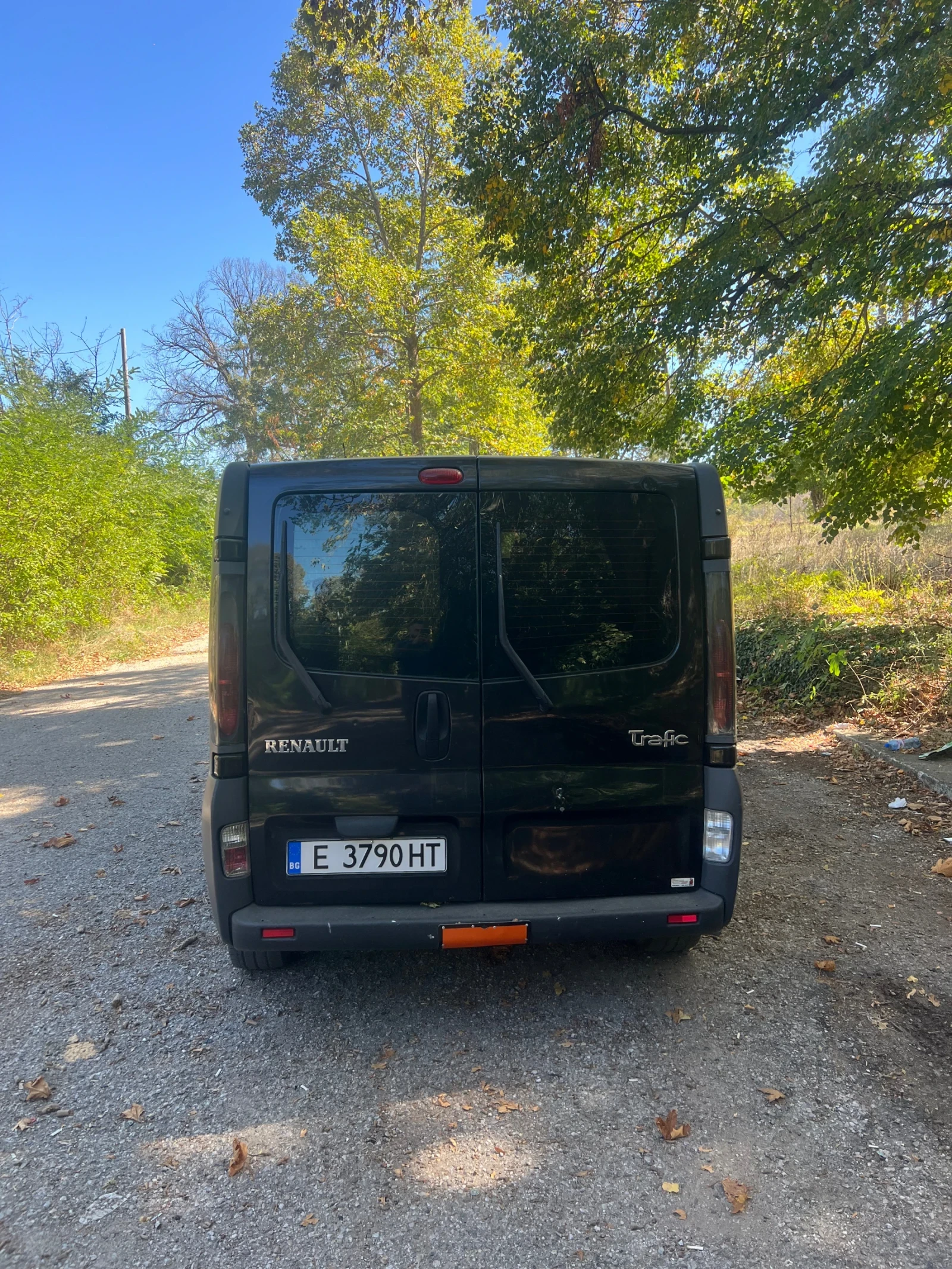 Renault Trafic, снимка 4 - Бусове и автобуси - 56123785