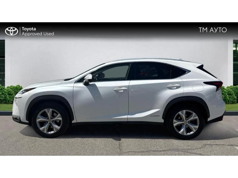 Lexus NX 300h Luxury - изображение 3