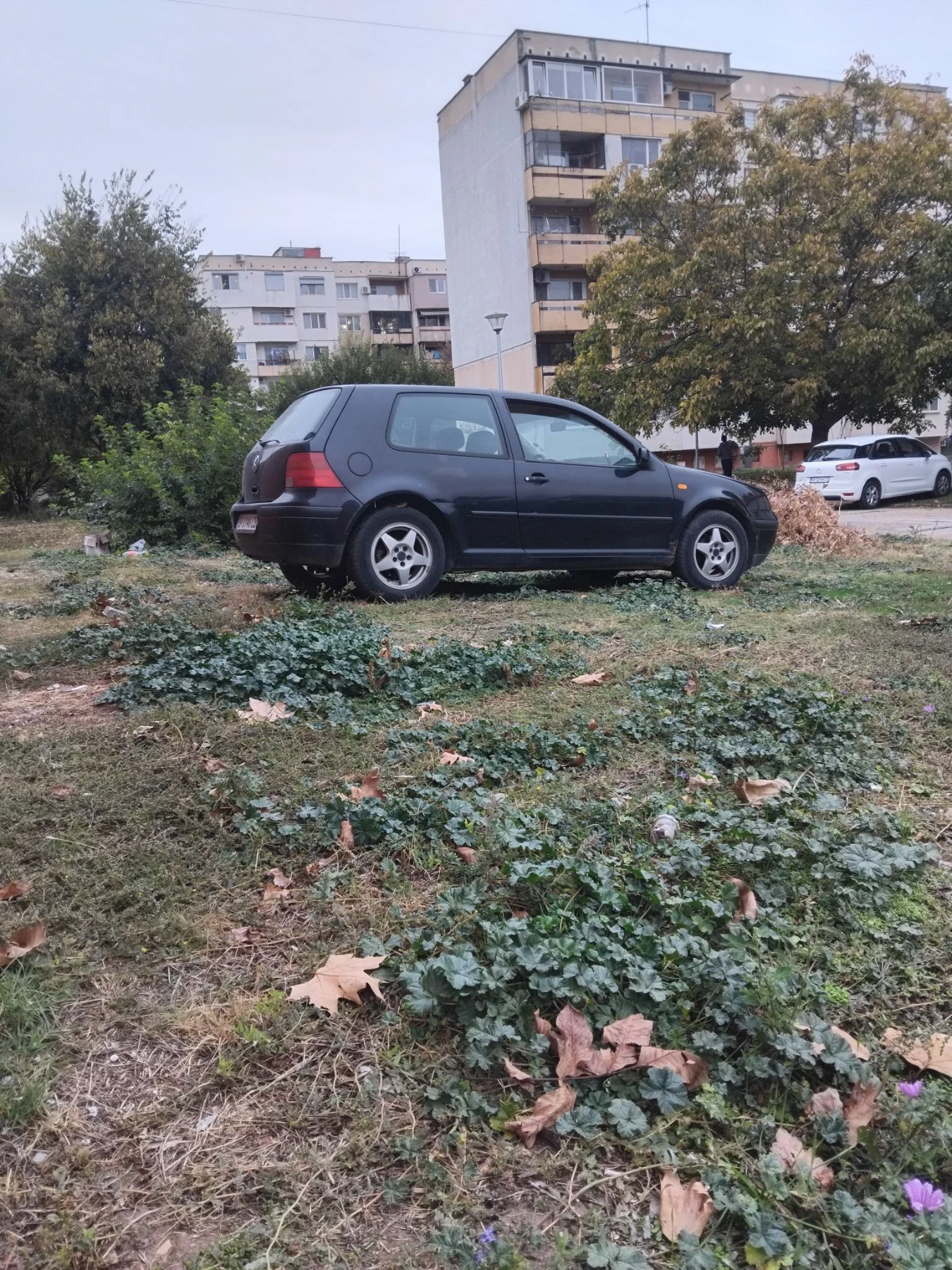 VW Golf, снимка 5 - Автомобили и джипове - 56709052
